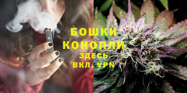 ALPHA PVP Белокуриха
