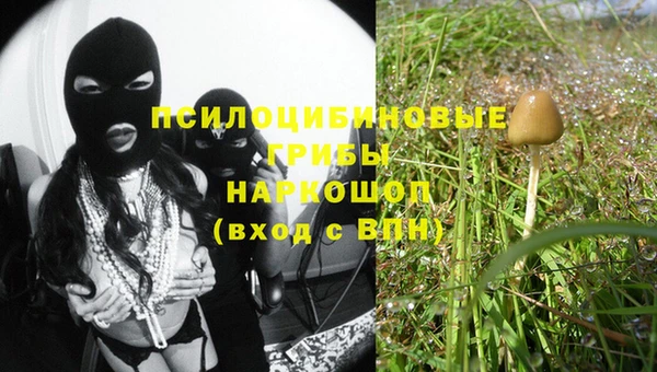 ALPHA PVP Белокуриха