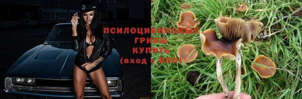 трава Белоозёрский